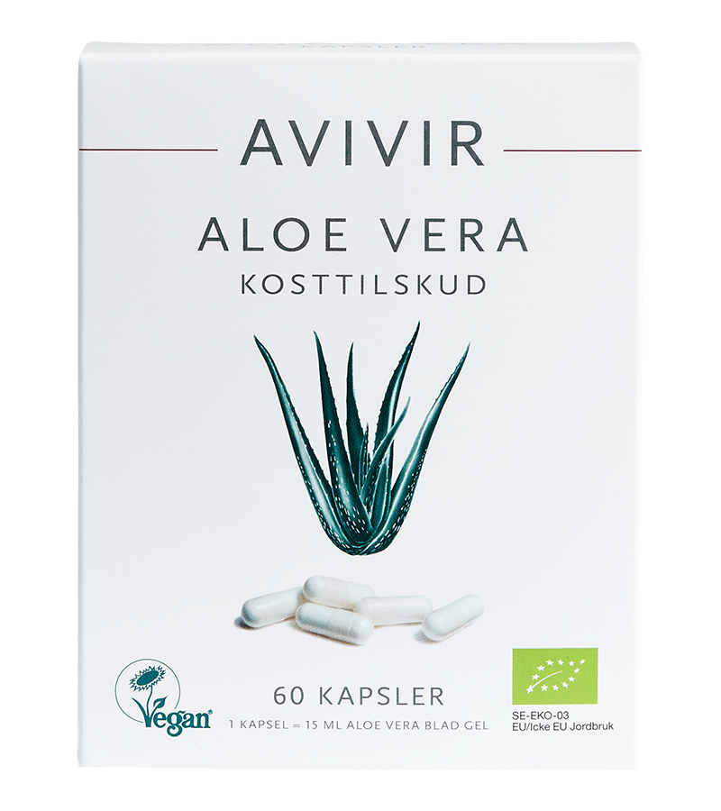 aloe vera deutschland kaufen Aloe Vera „Alfonso“ – Aloe-Vera-Pflanze in Gärtnerqualität kaufen main image 1